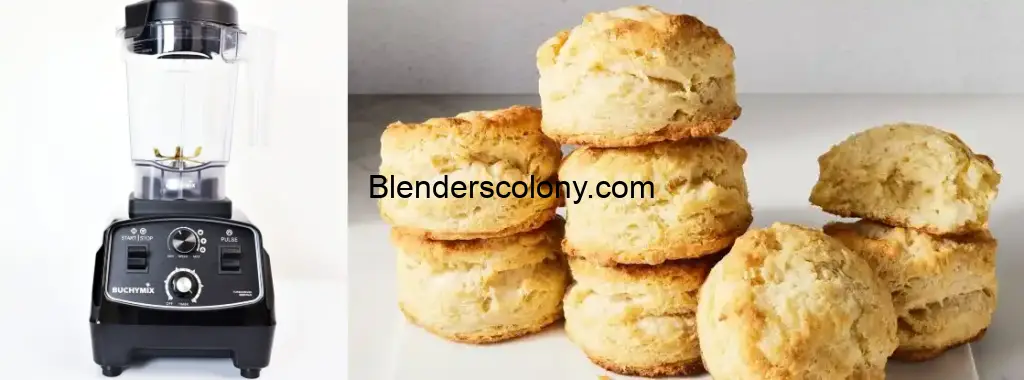 can I use a blender to crush biscuits