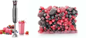 can an immersion blender blend frozen fruit