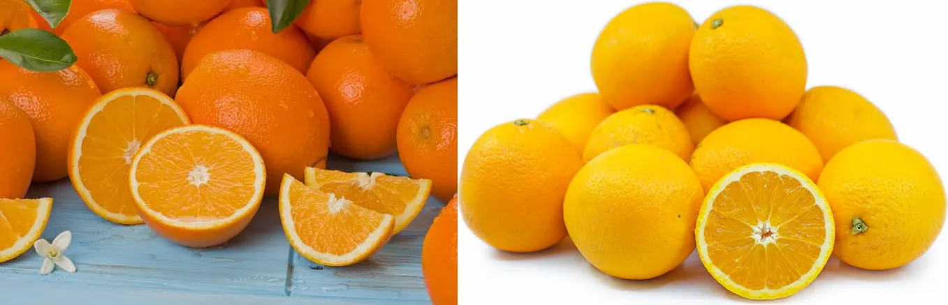 Best Juicing Oranges